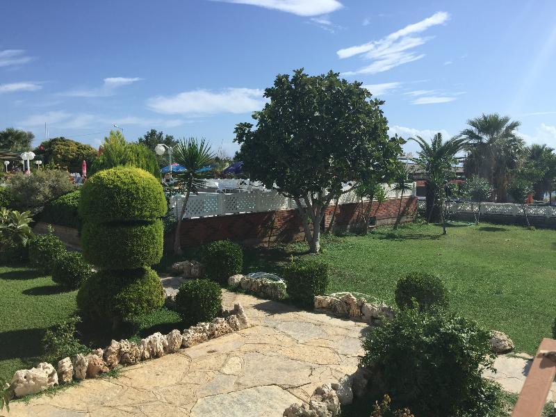 Dolunay Apartments Didim Dış mekan fotoğraf